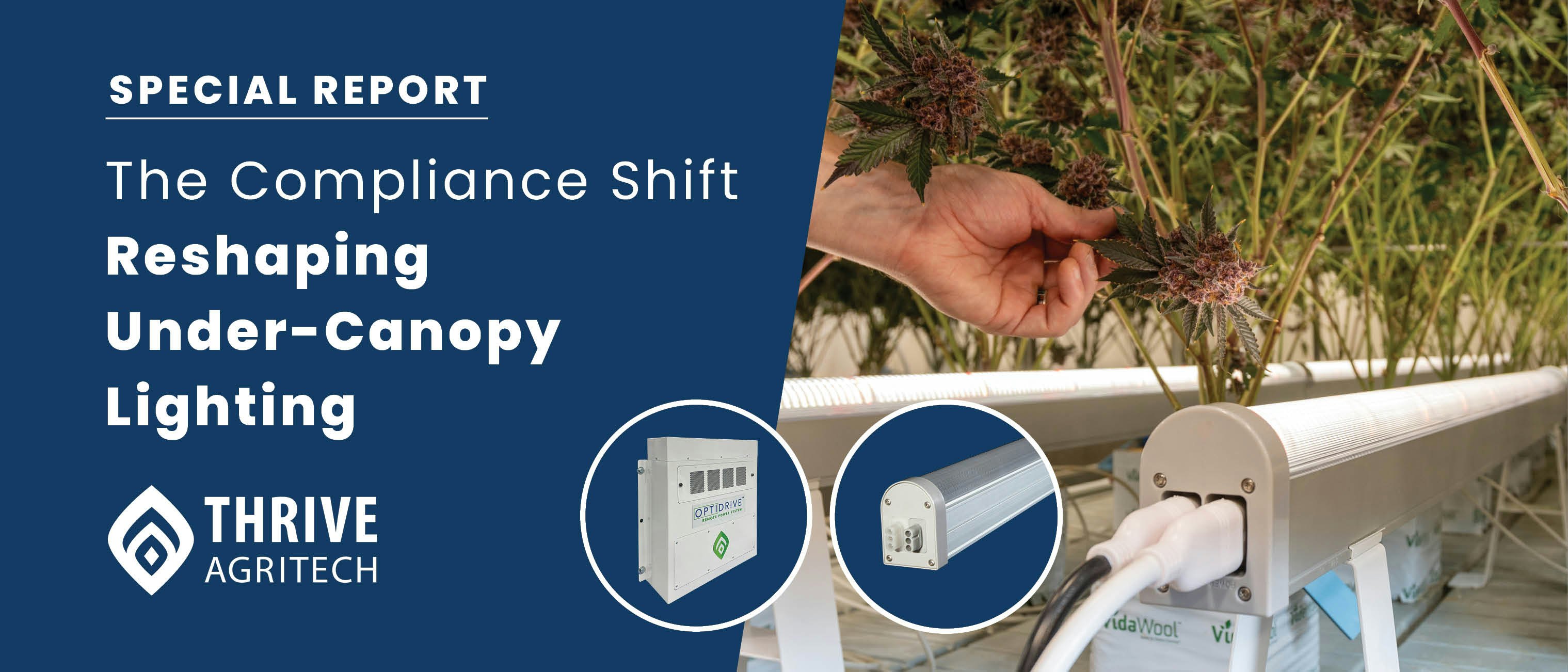 The Compliance Shift