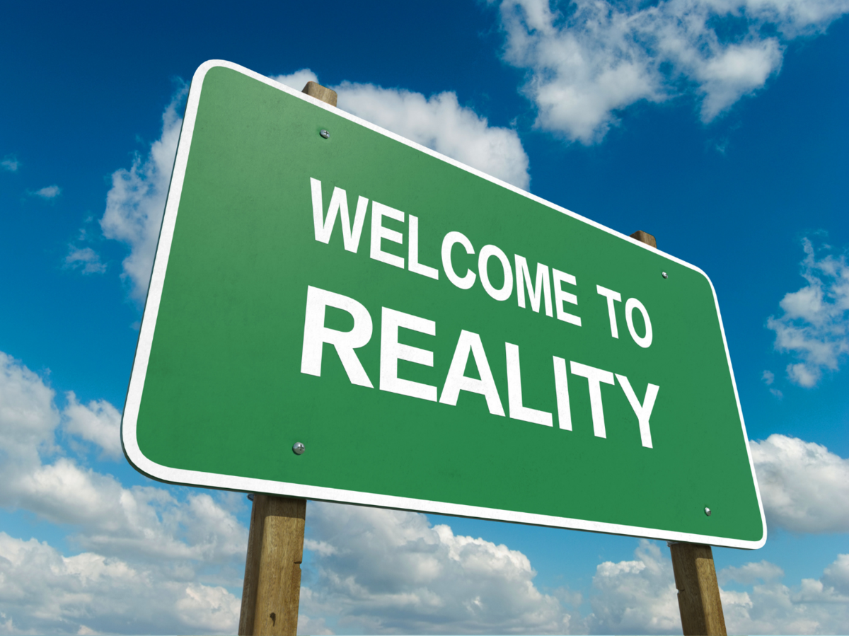 The Reality Check