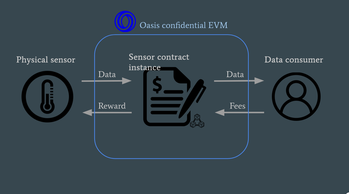 Oasis TEE confidential DAO voting