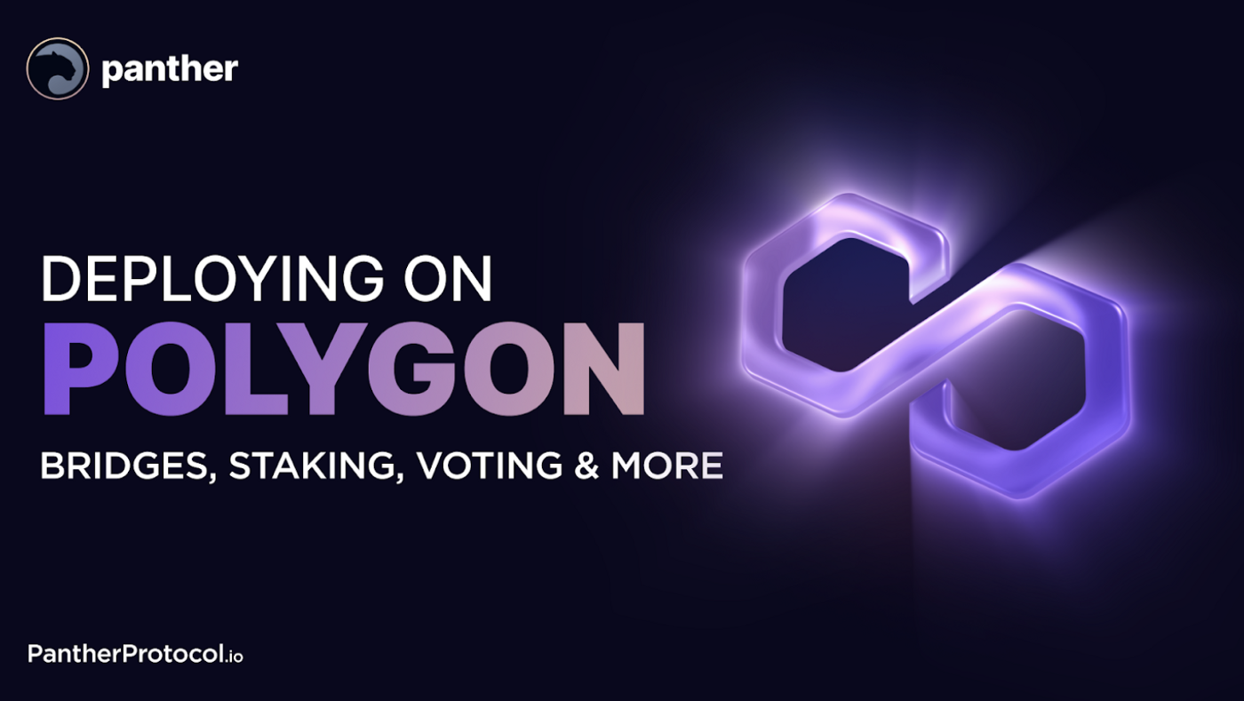 Panther Protocol LaunchDAO private voting