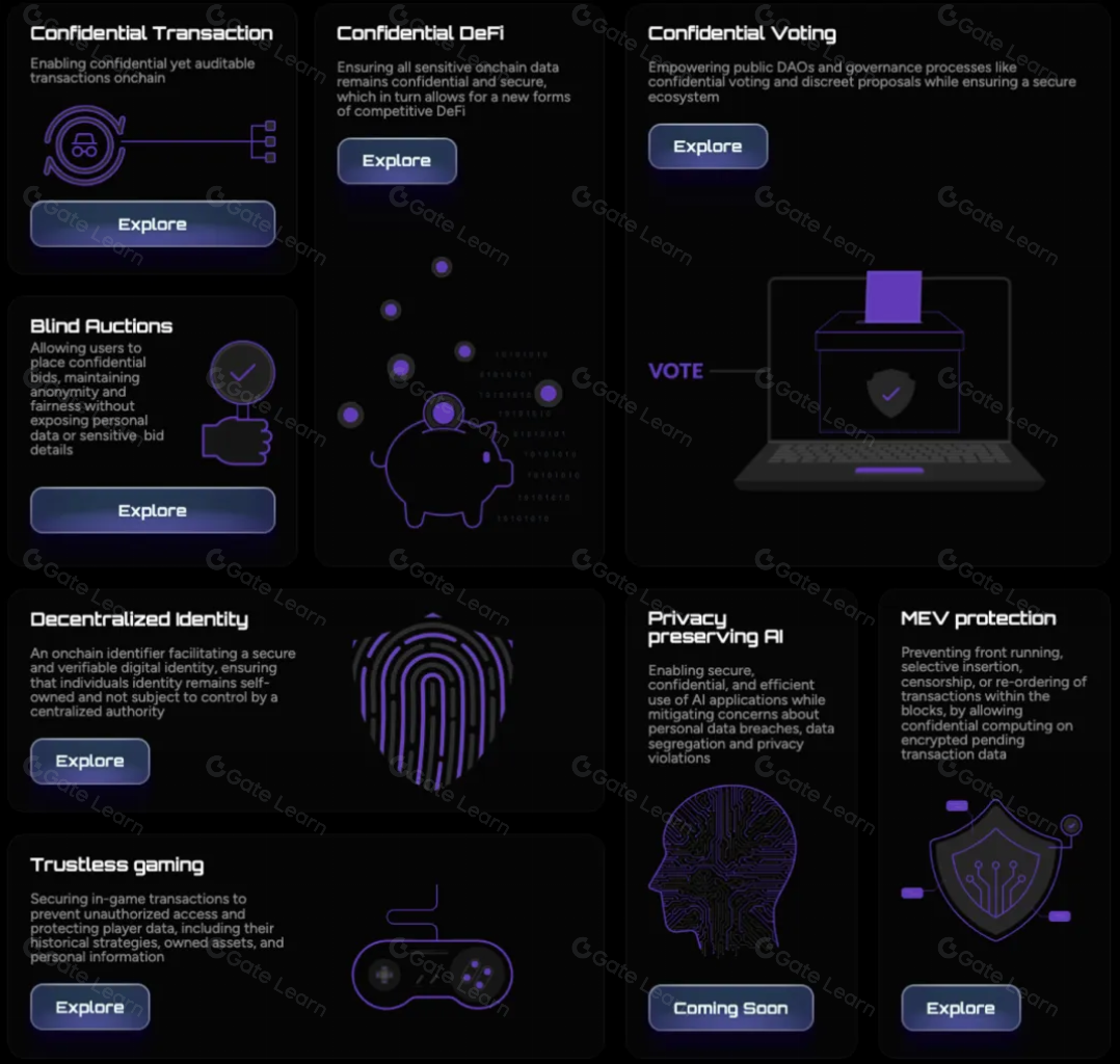 homomorphic encryption DAO voting process