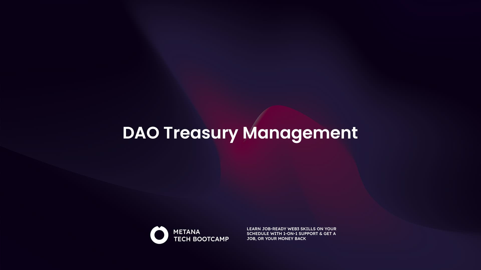 Encrypted DAO treasury transaction execution
