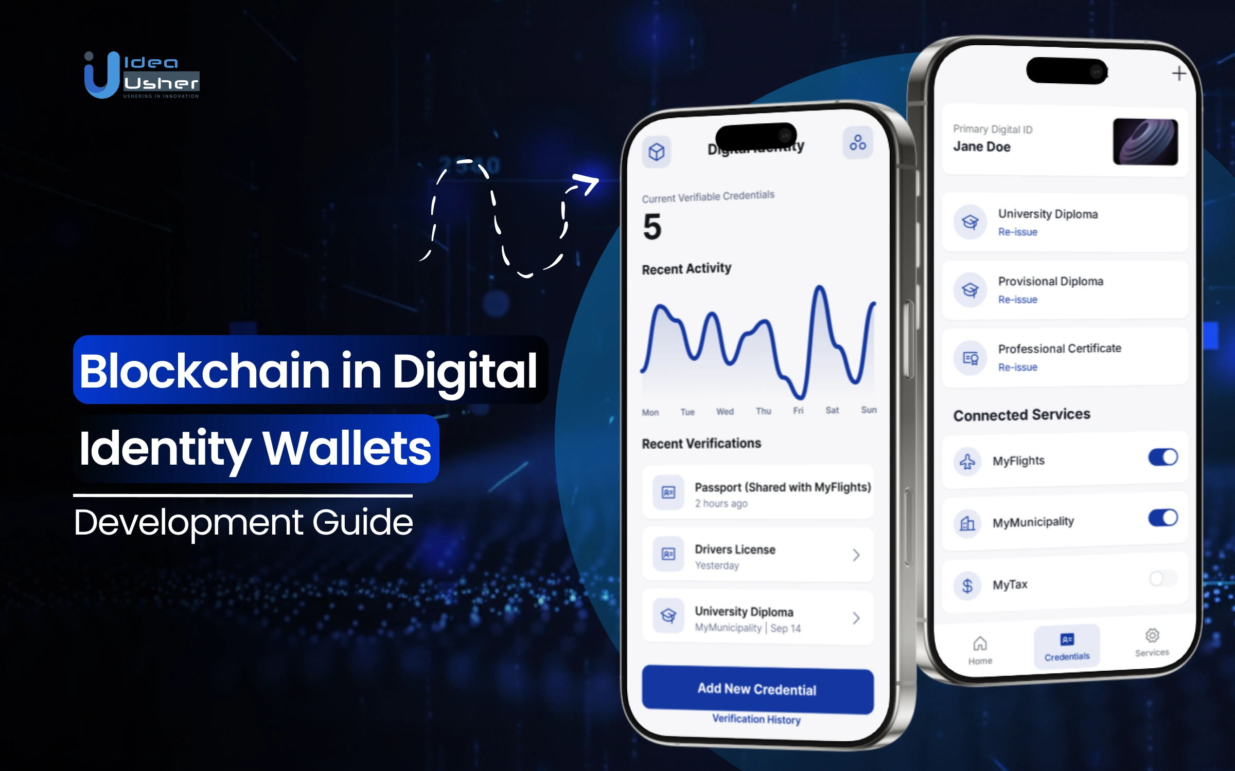 DAO member verifying private digital identity on a mobile device using zero-knowledge proofs and NFT credentials for secure governance in 2025